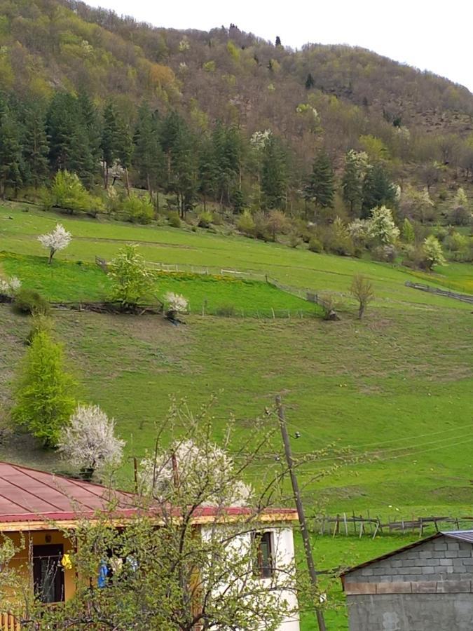 Saba Hotel Mestia Kültér fotó