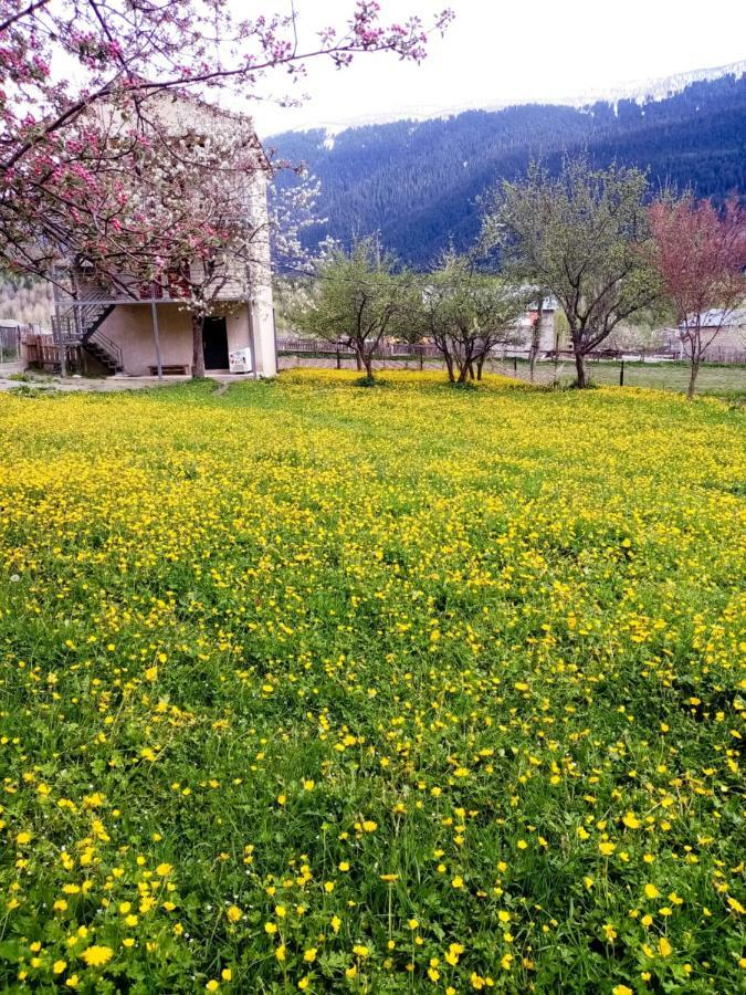 Saba Hotel Mestia Kültér fotó