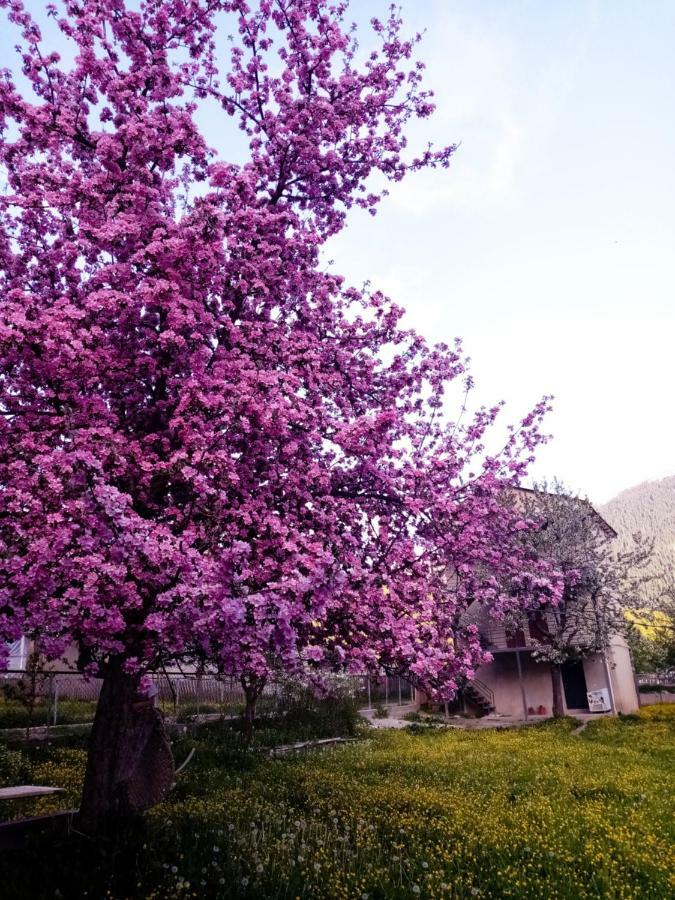 Saba Hotel Mestia Kültér fotó